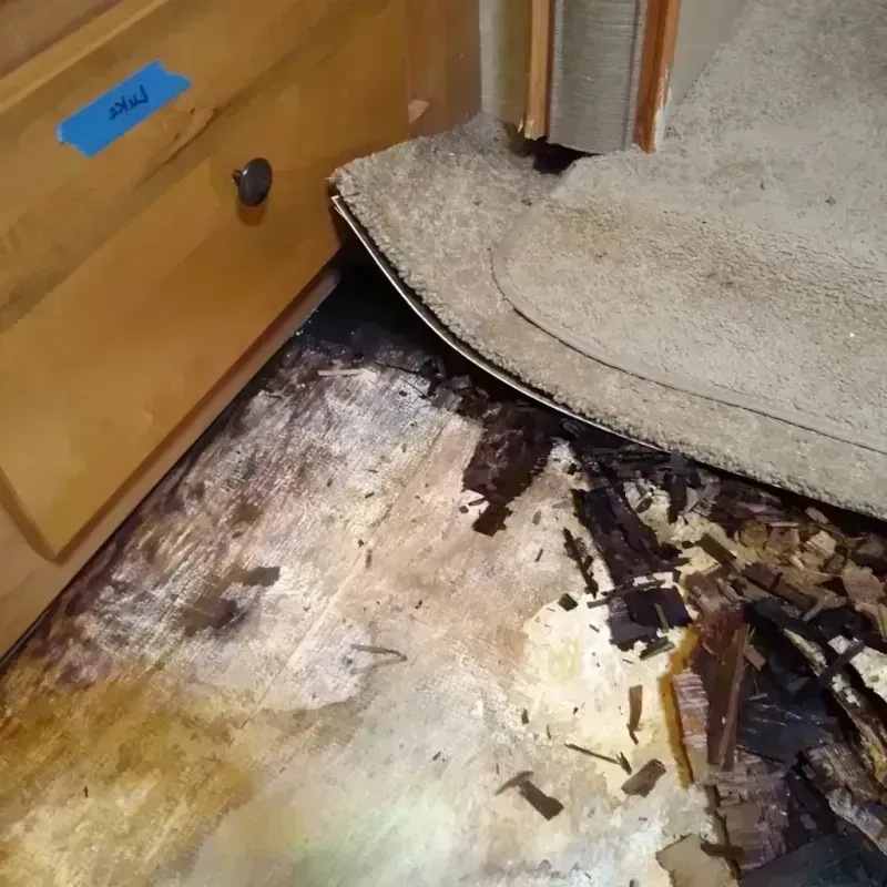 Wood Floor Water Damage in Brookridge, FL